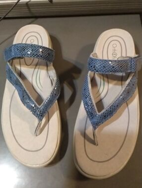 Blue Thong Sandals with Padded Footbed